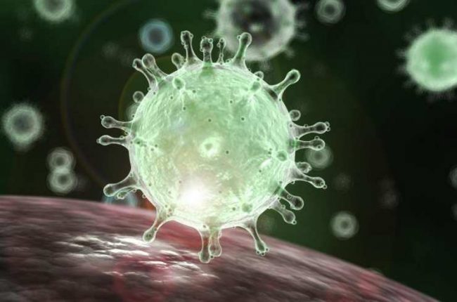 coronavirus